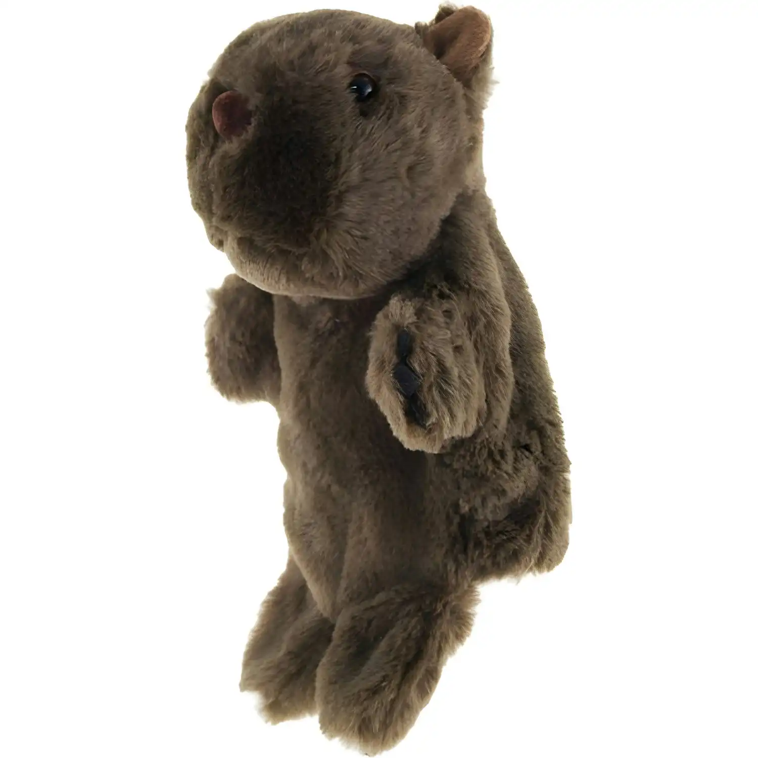 Elka - Puppet Wombat