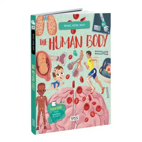 Sassi - What How and Why The Human Body Book and Poster