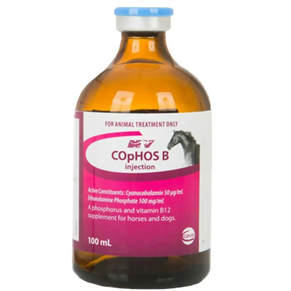 Cophos B Vitamin B12 Lactic Acid Muscle Solution Dog Horse 100ml | Squizzys  Online | Lasoo