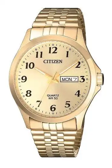 Citizen Gold Men's Watch BF5002-99P