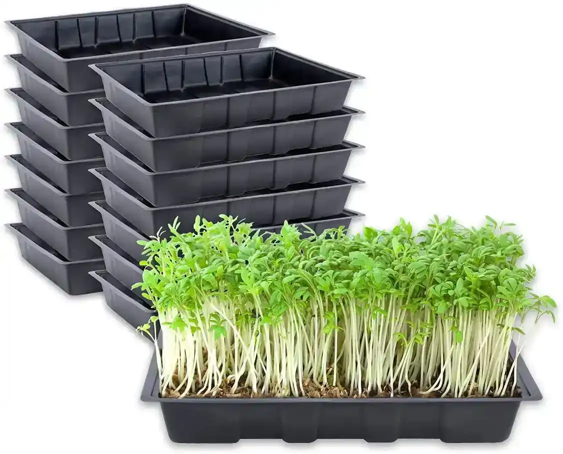 Garden Greens 15PK Seedling Trays Lightweight Durable Reusable 24 x 35.5cm