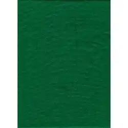 ProMaster Backdrop Poly Cotton 10'x12' Solid - Chroma Green