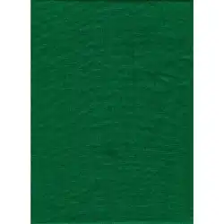 ProMaster Backdrop Poly Cotton 10'x12' Solid - Chroma Green