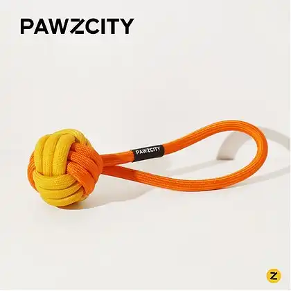 PAWZCITY Interactive Rope Ball