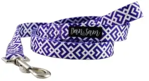 Dan & Sam  Polyester Webbing Lead  Purple Delights