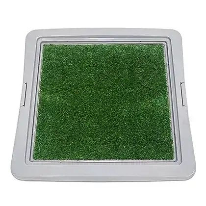 Puppy Dog Toilet Training Pad with Grass