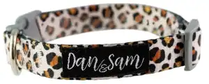 Dan & Sam  Adjustable Polyester Webbing Collar  Wild One