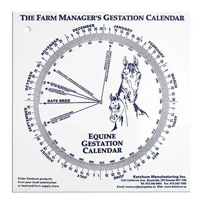 Gestational Calendar - Horse Equine