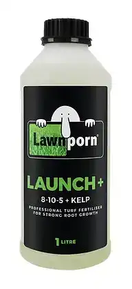 Lawnporn Launch + 1L