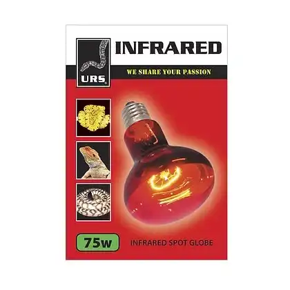 Infrared Spot Lamp 75 watt