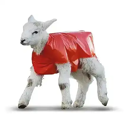 Lamb & Goat Kid Blankets - Plastic 50 Pack