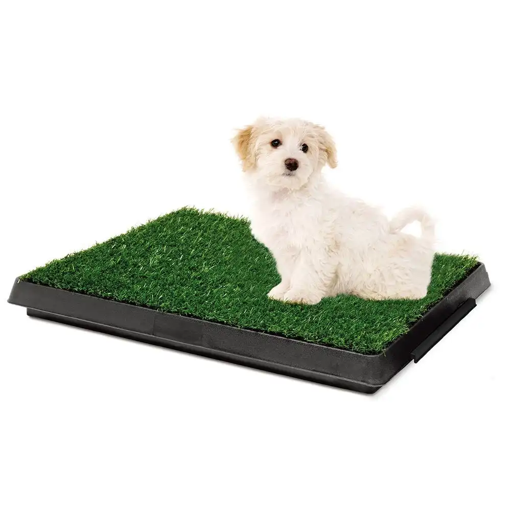Paws & Claws Portable 63cm Dog/Puppy/Pet Indoor Training Potty Grass w/ Tray