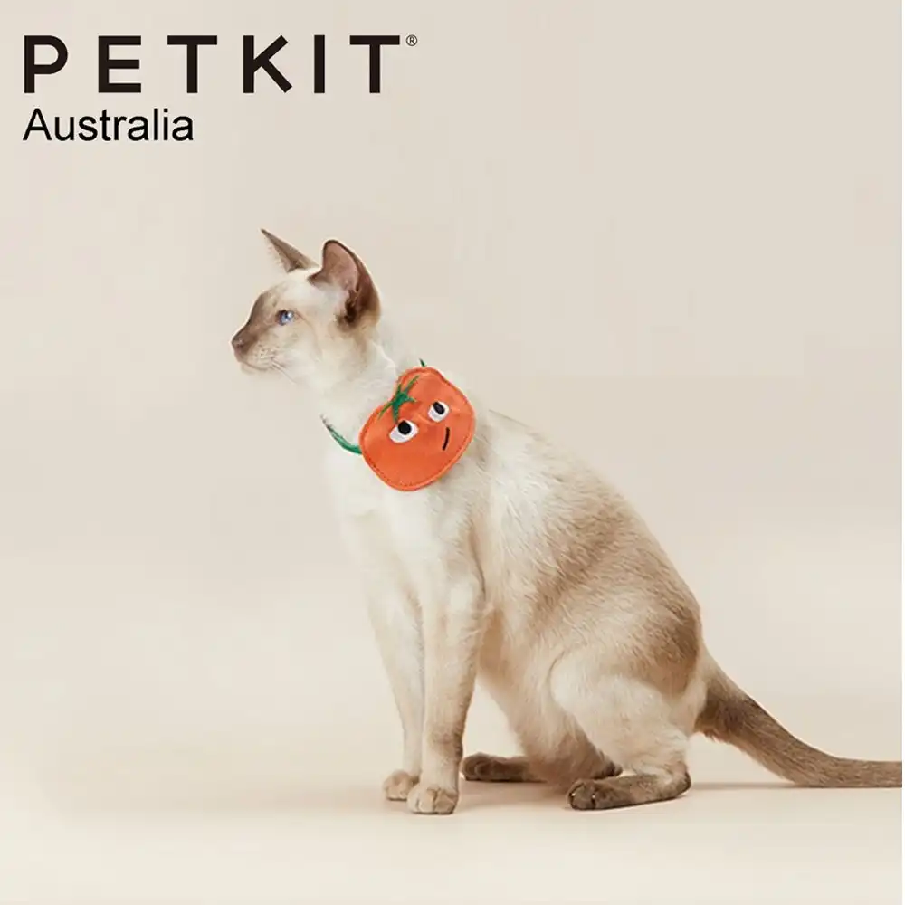 Petkit Adjustable Pet Saliva Towel/Bib Collar Wedding/Party Accessory Chicken