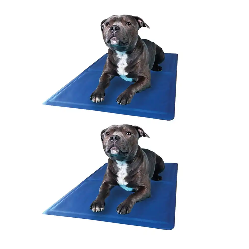 2x Paws & Claws 40x50cm Pet Cooling/Heating Gel Mat/Pad/Cushion for Dogs/Cats