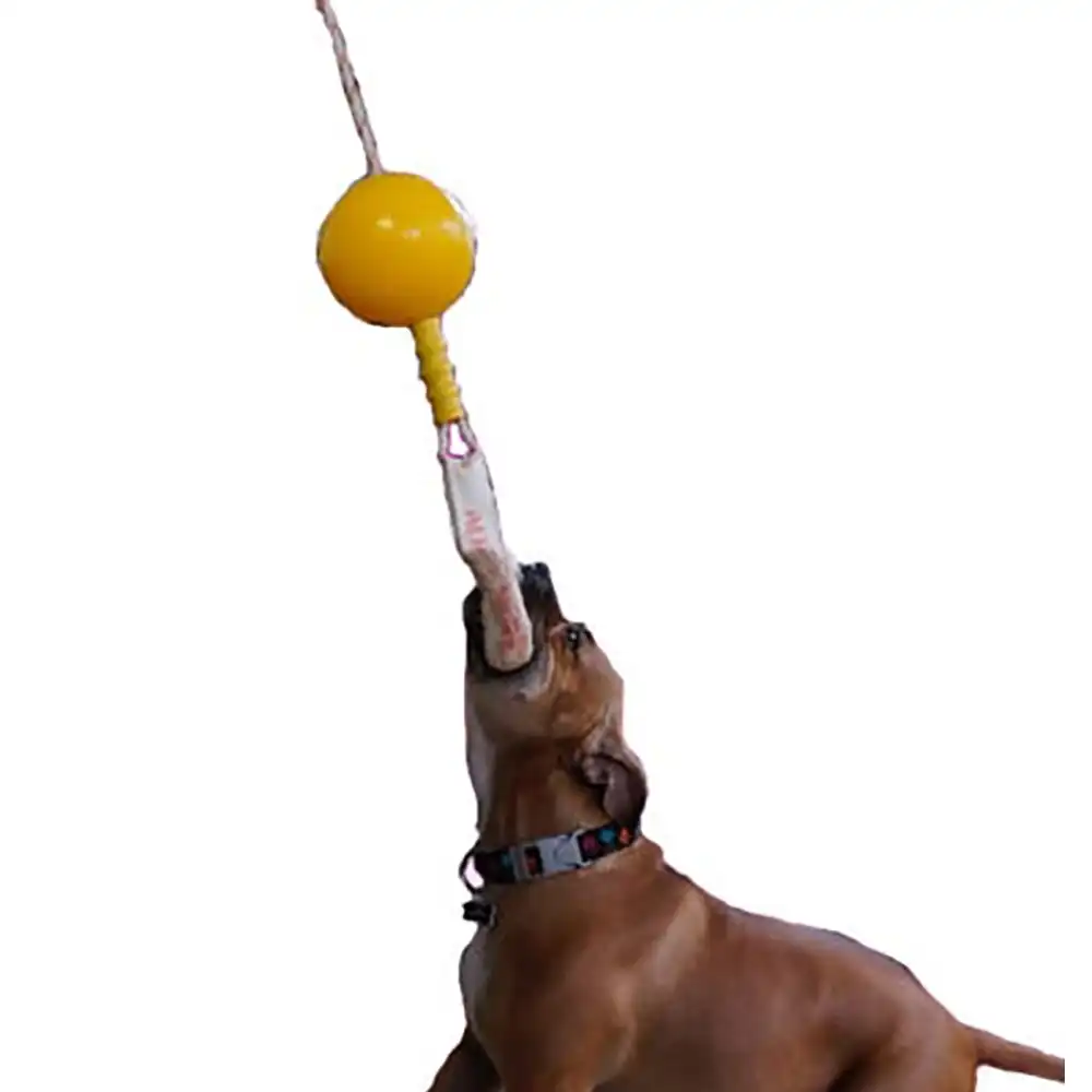 Aussie Dog Home Alone Pet Interactive 10-30kg Dog Toy Ball Food Dispenser Medium