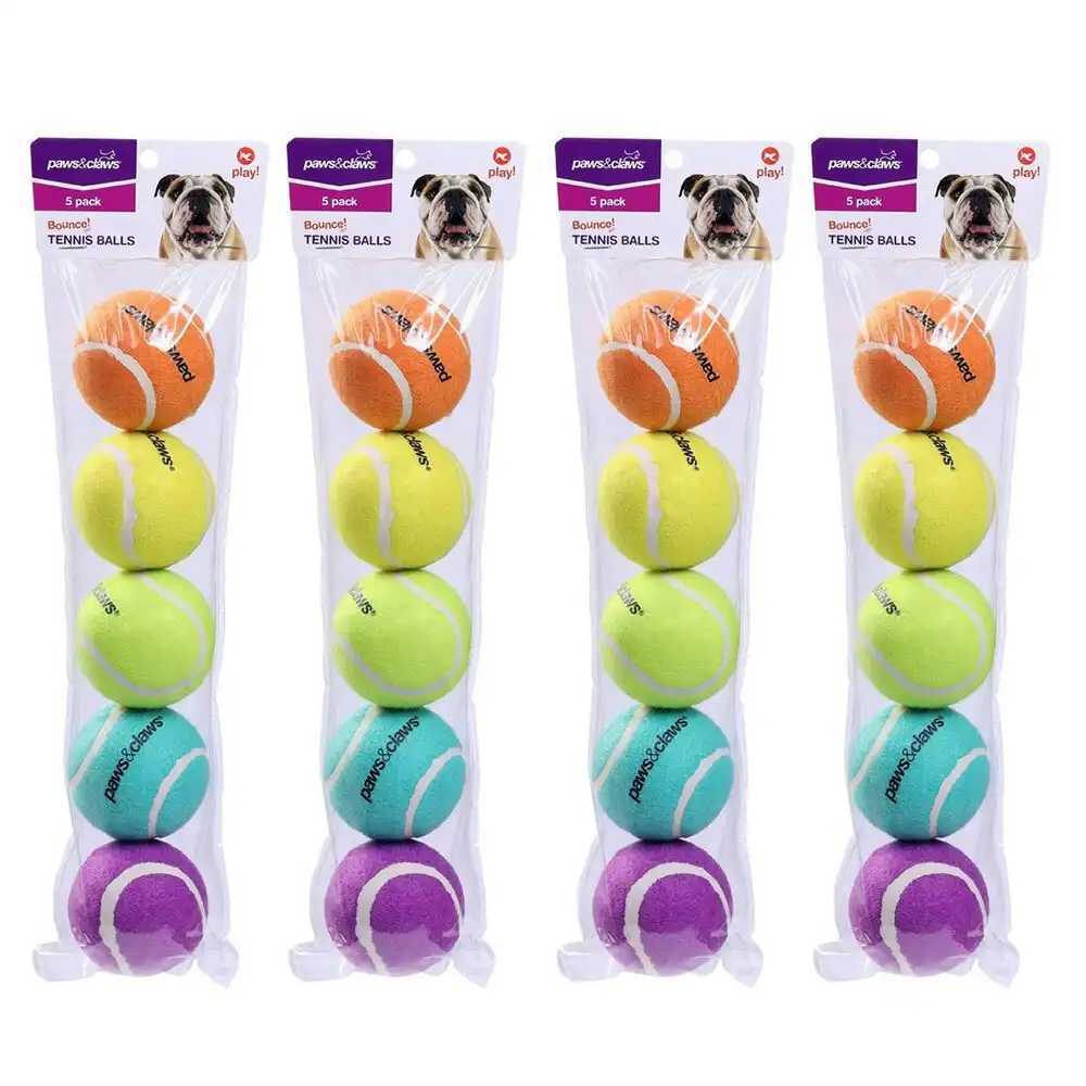 20x Paws & Claws 6cm Tennis Balls Durable Asstd Colours Solid Dog/Pet/Cat Toy