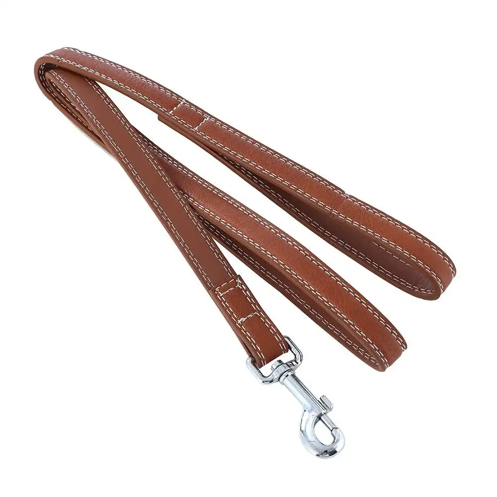 Paws & Claws Pet Dog 120cm Leather Look Padded Lead/Leash w/ Stitch Assorted