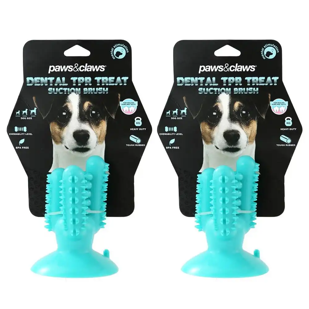 2x Paws & Claws 13cm Cactus Suction Brush Dental Treat Pet Dog Rubber Toy Teal