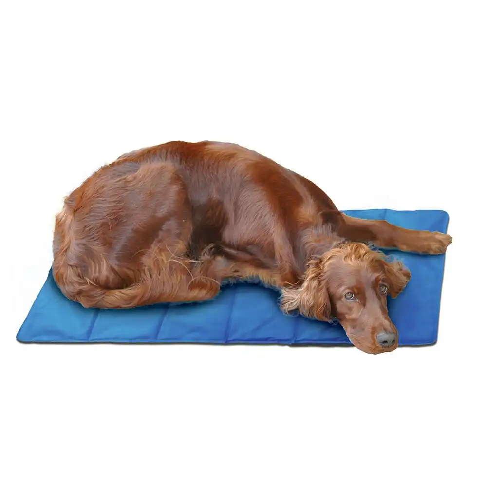 Spatastic 90x60cm Jumbo Pet/Dog/Cat Cooling Mat Indoor/Outdoor Non Toxic Blue