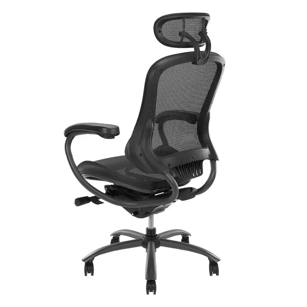 Lopez Adjustable Mesh Ergonomic Office Executive Computer Chair W/ Headrest - Black