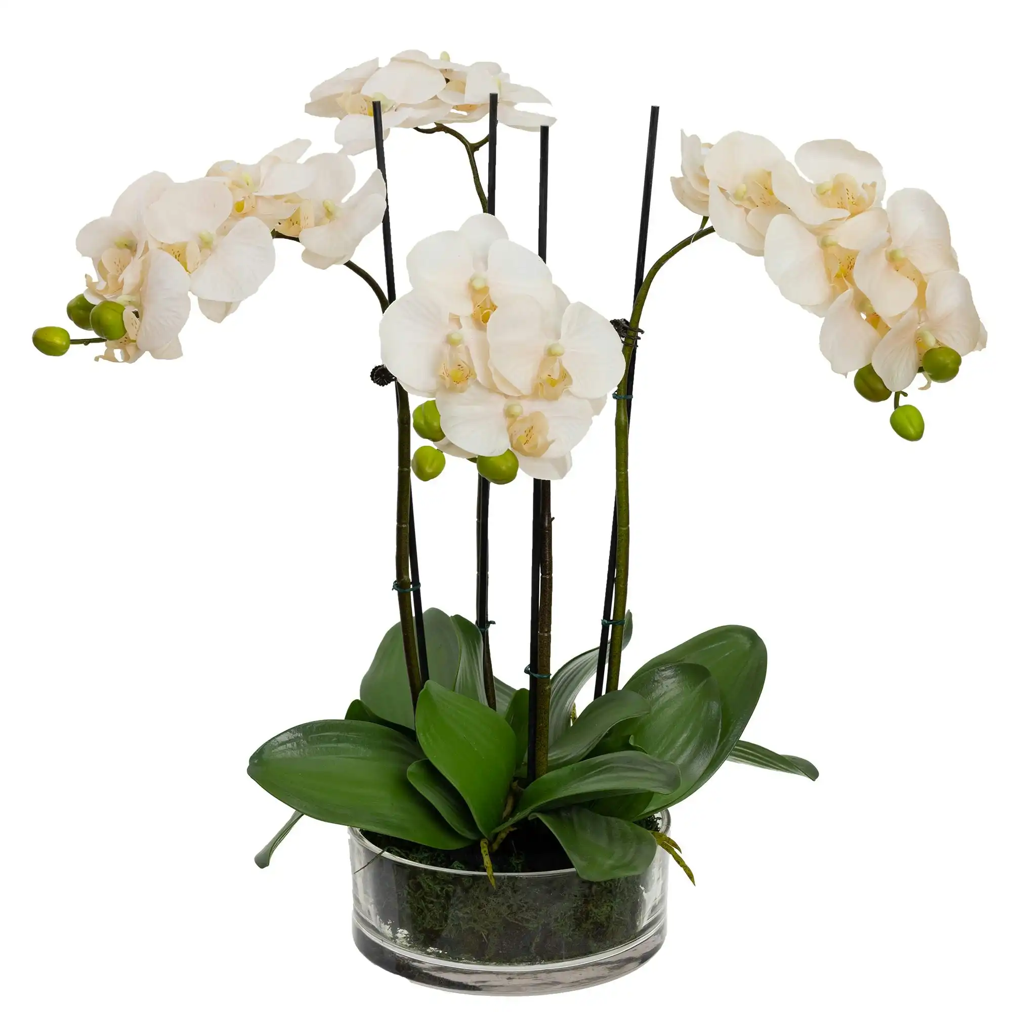 Glamorous Fusion Apricot Orchid Artificial Fake Plant Decorative Arrangement 48cm In Glass Bowl