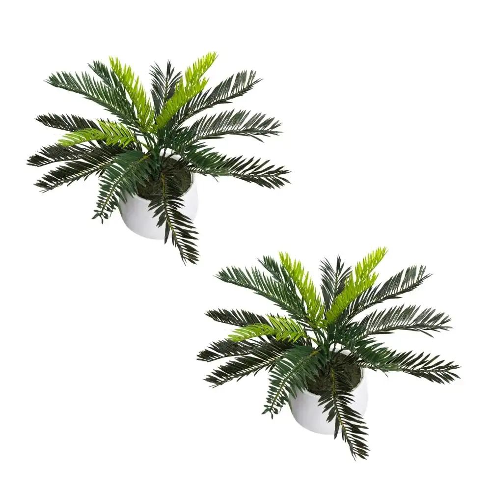 Glamorous Fusion Set Of 2 Cycas Artificial Fake Plant Decorative 35cm In Pot