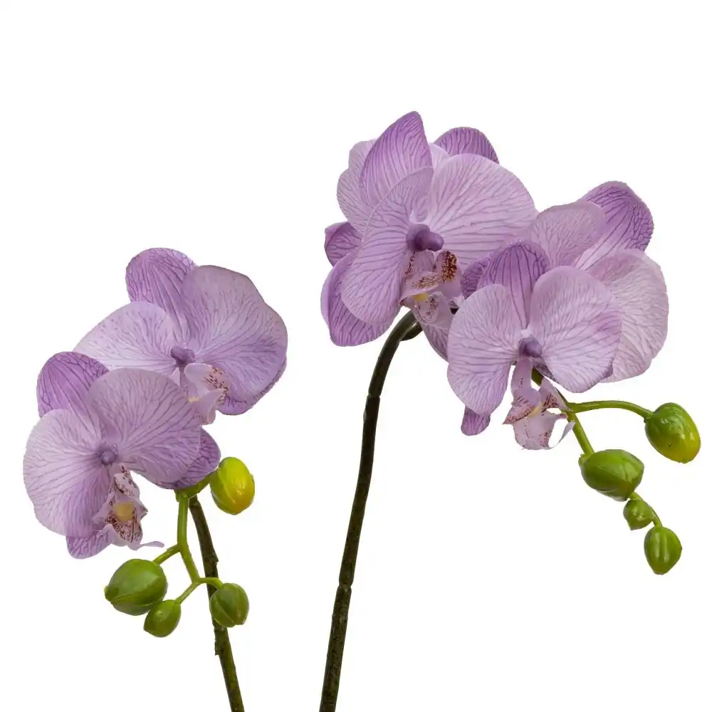 Glamorous Fusion Lavender Orchid Artificial Fake Plant Decorative Arrangement 40cm In Cylinder Glass