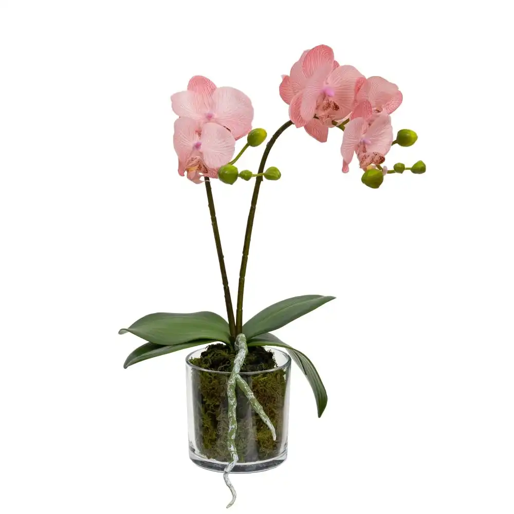 Glamorous Fusion Light Mauve Orchid Artificial Fake Plant Decorative Arrangement 40cm In Cylinder Glass