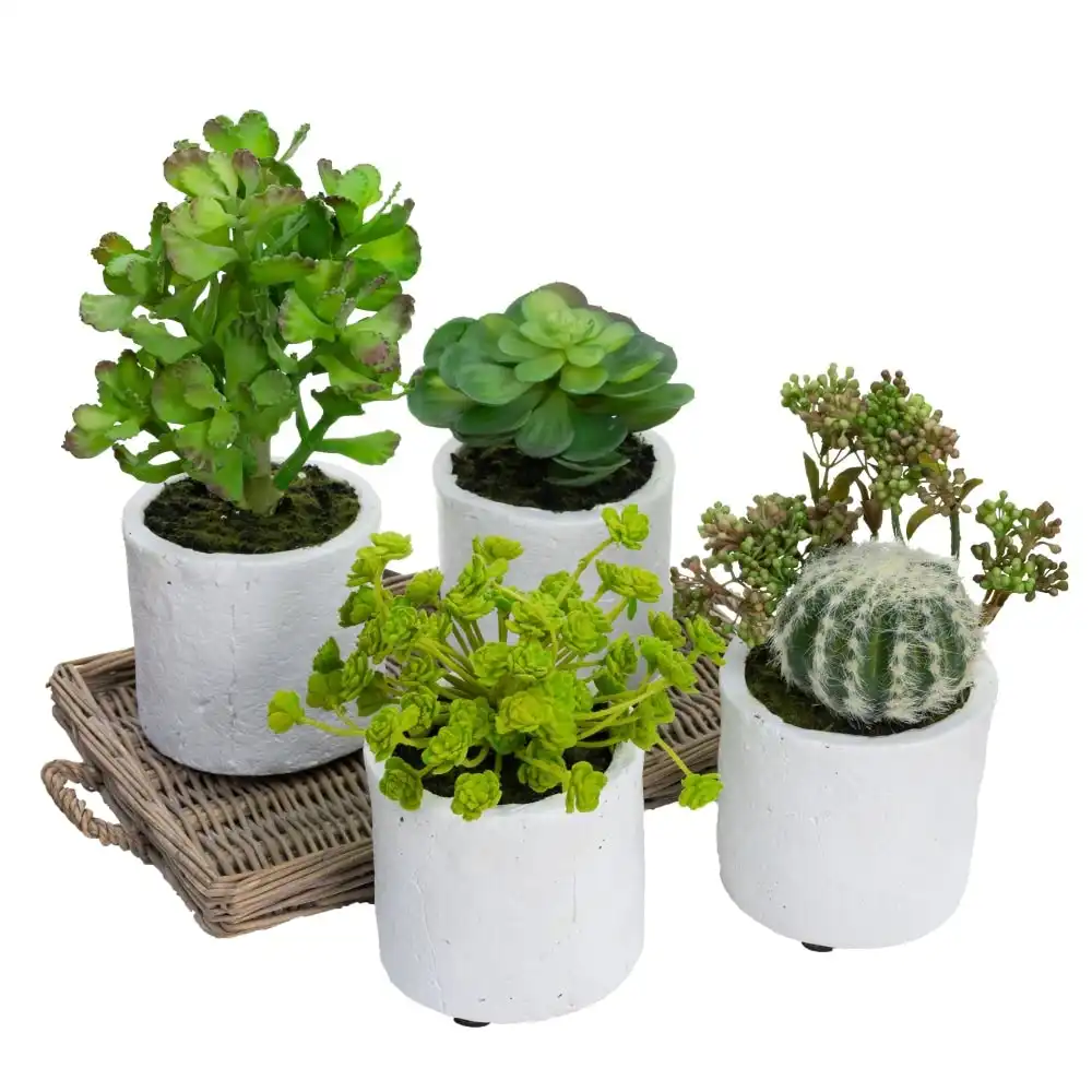Glamorous Fusion Set Of 4 Assorted Succulent Artificial Fake Plant Decorative In Pot - Green