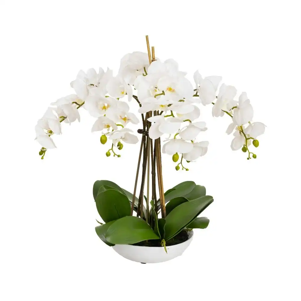 Glamorous Fusion Phalaenopsis Orchid Artificial Plant Flower Decorative 60cm White Bowl - White