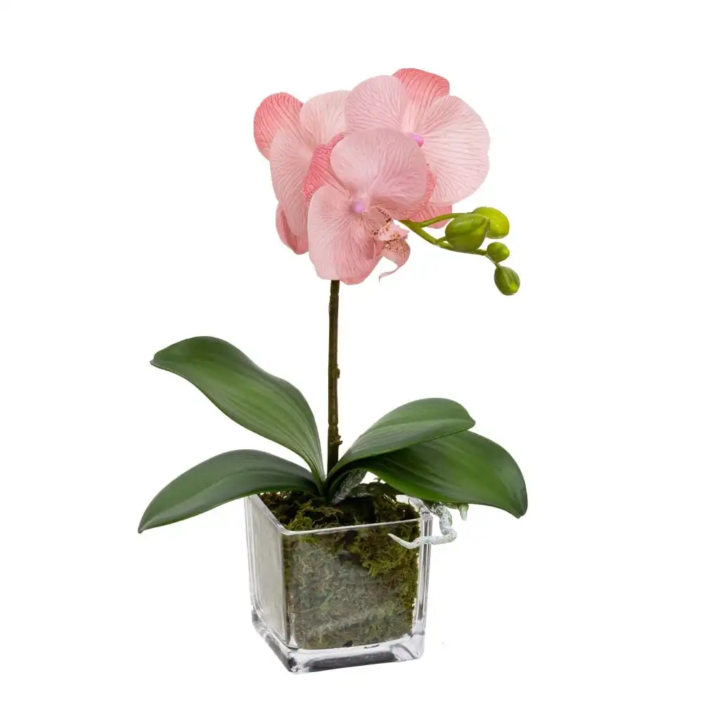 Glamorous Fusion Light Mauve Orchid Artificial Fake Plant Decorative Arrangement 32cm In Square Glass