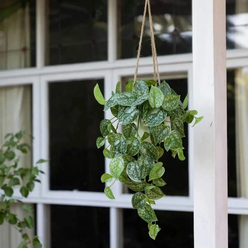 Glamorous Fusion Scindapsus Bush Artificial Fake Plant Decorative Arrangement 86cm In Hanging Planter - Green