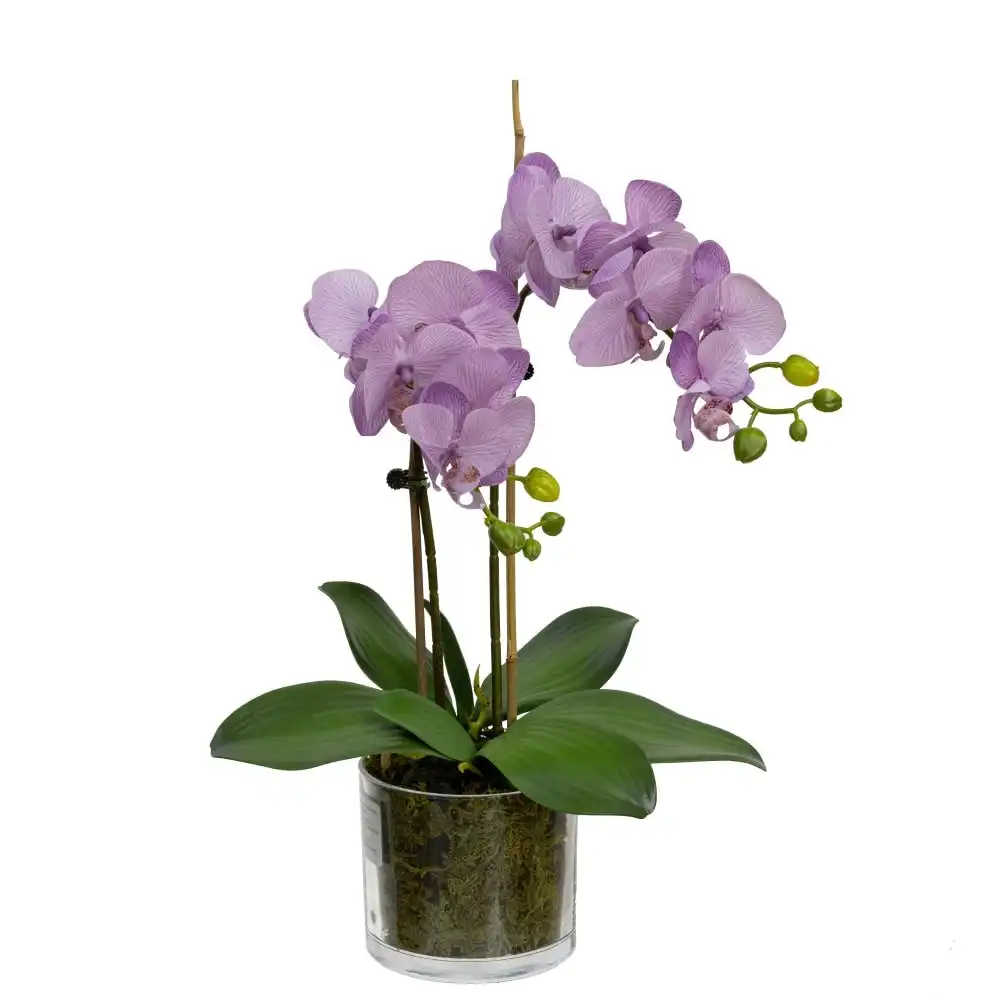 Glamorous Fusion Lavender Orchid Artificial Fake Plant Decorative Arrangement 45cm In Cylinder Glass