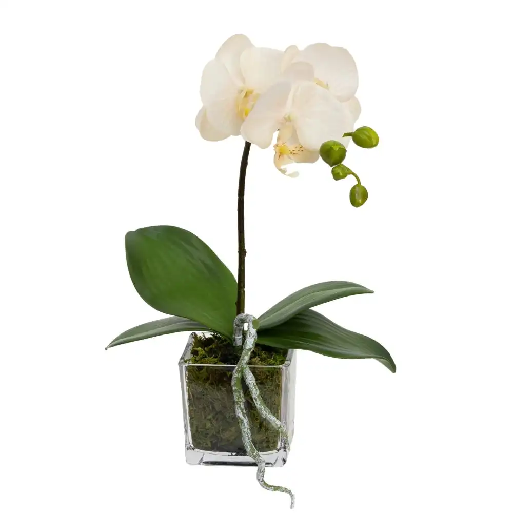 Glamorous Fusion Peach Orchid Artificial Fake Plant Decorative Arrangement 32cm In Square Glass