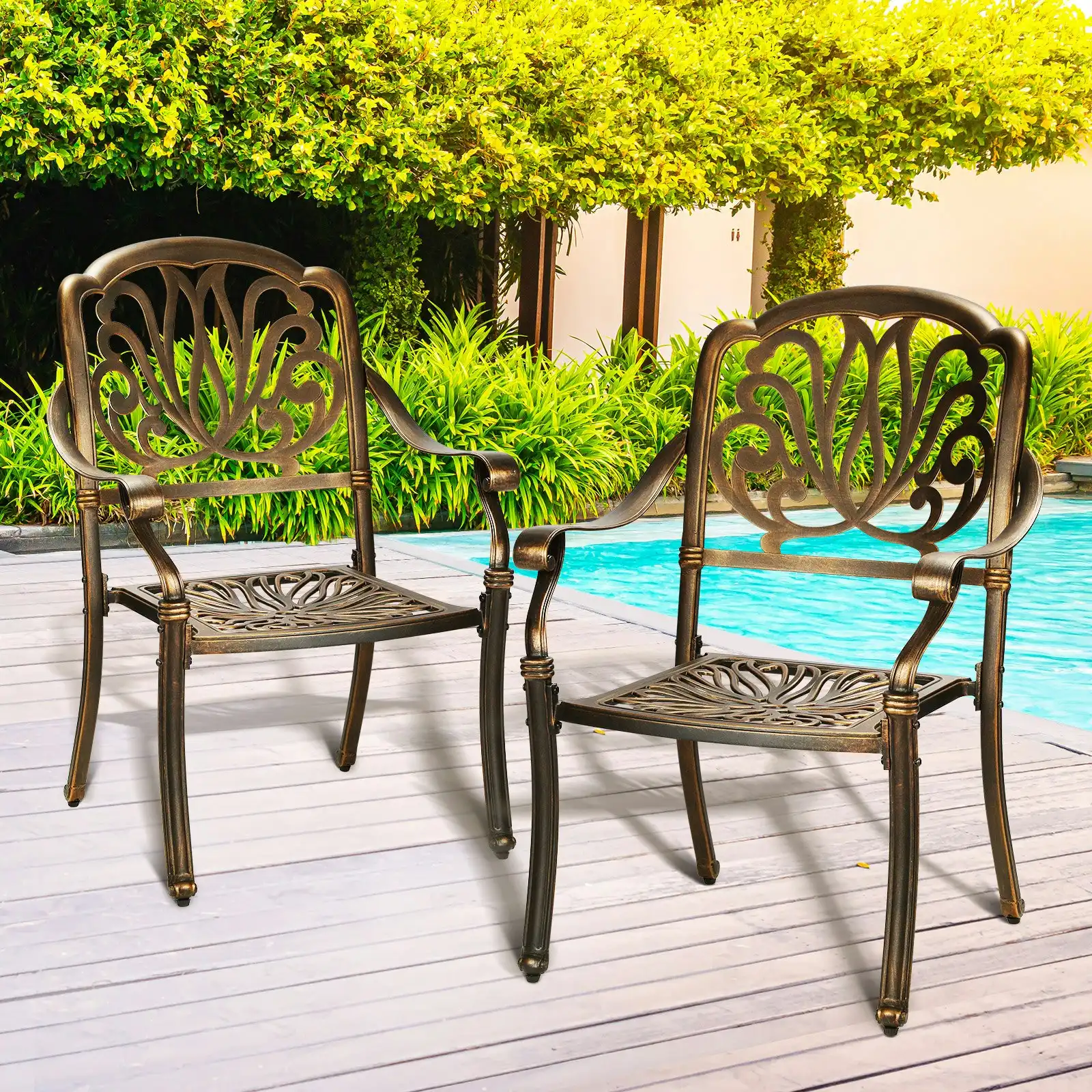 Livsip Outdoor Dining Chairs Cast Aluminium Patio Garden Furniture Set of 2