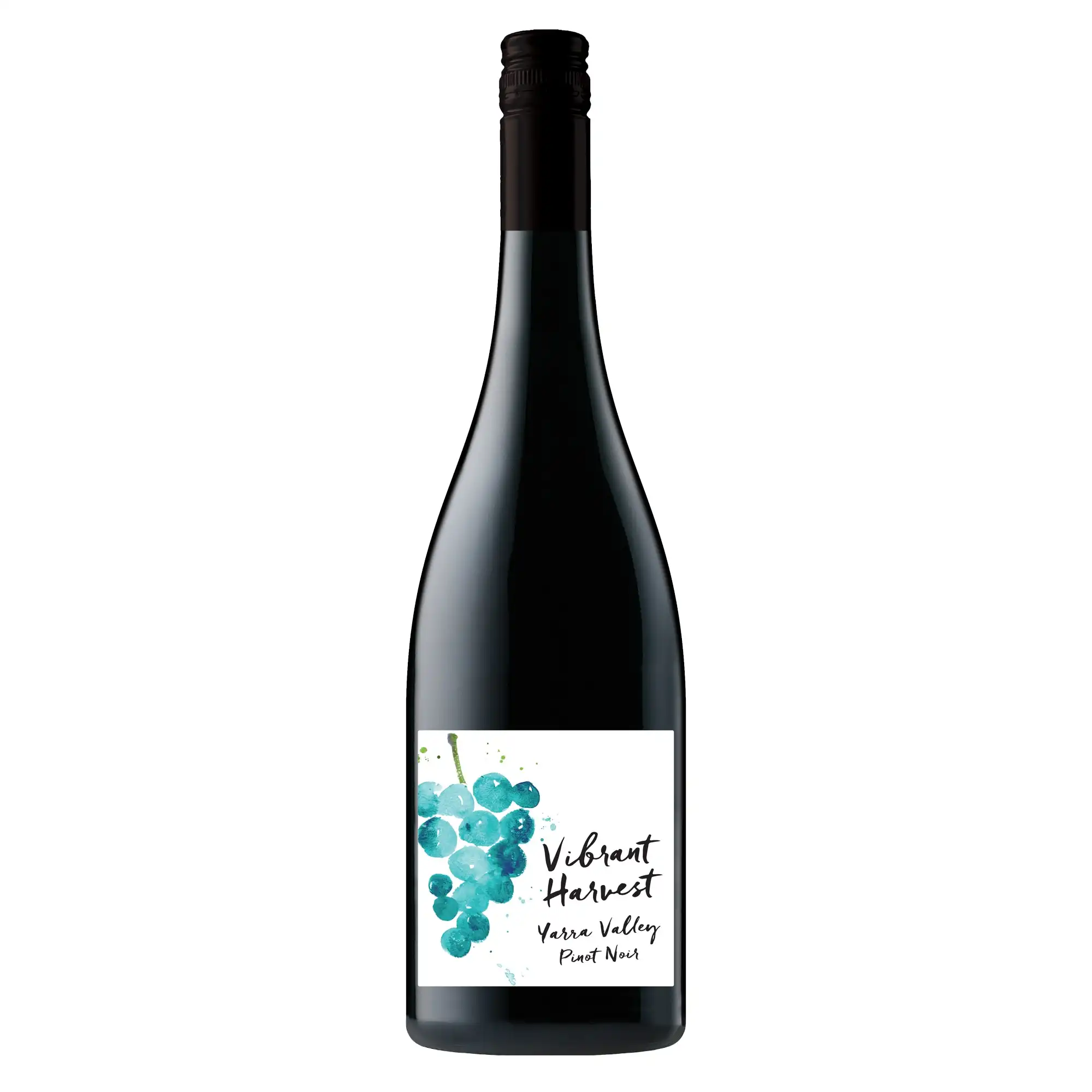 Vibrant Harvest Yarra Valley Pinot Noir 2020 (12 Bottles)
