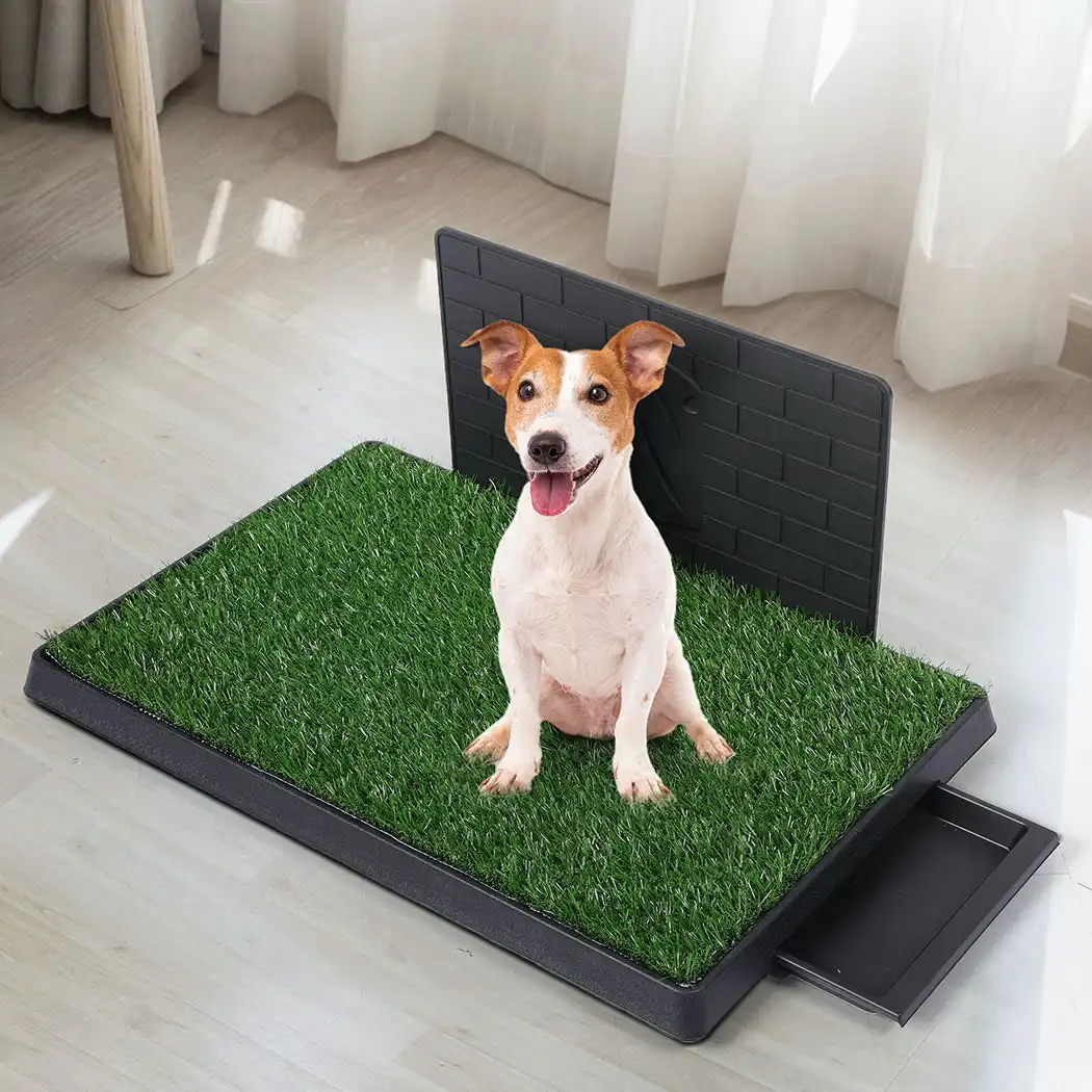 Pawz Indoor Dog Pet Grass Potty Training Portable Toilet Pad Tray Turf Mat Jumbo