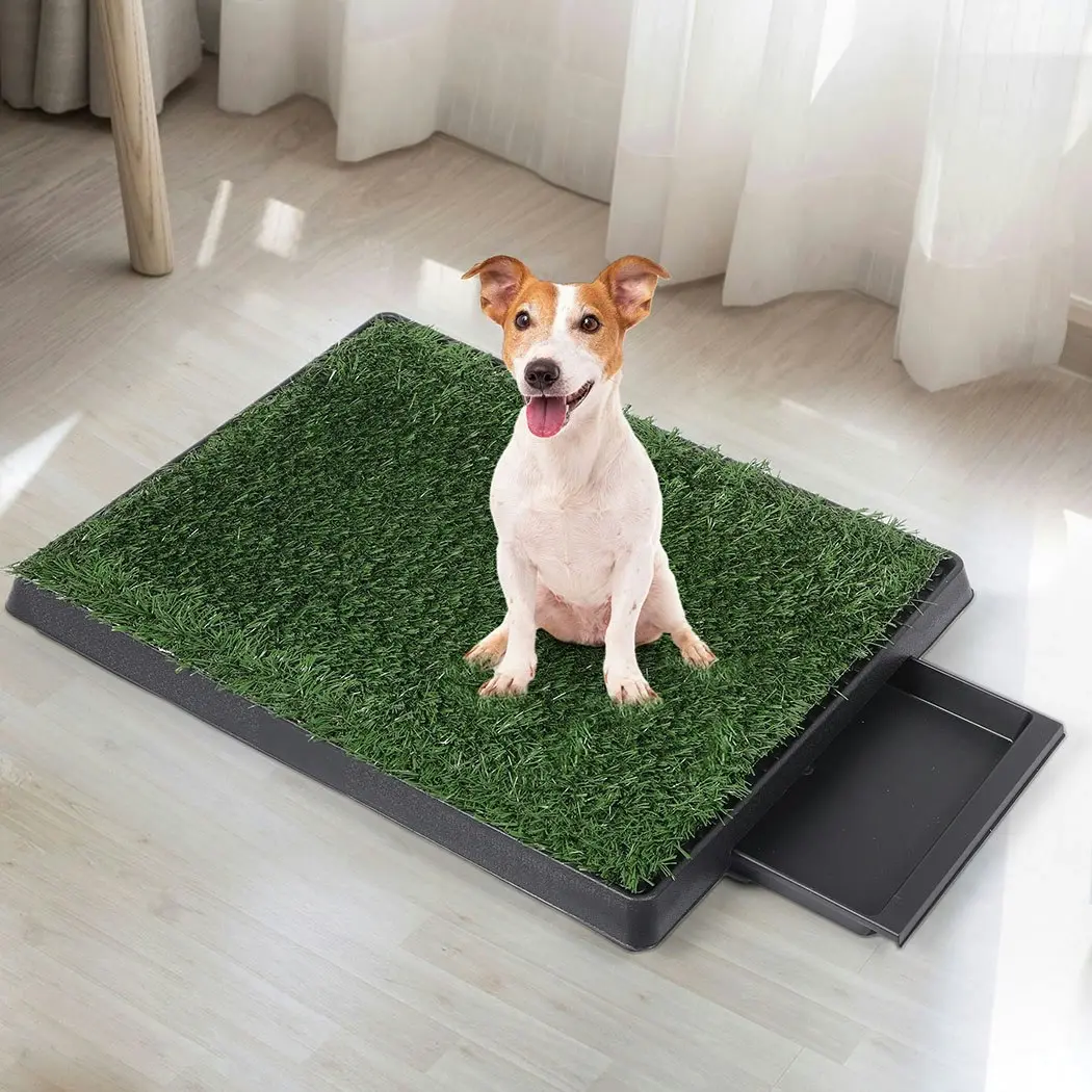 Pawz Indoor Dog Potty Training Tray Pet Grass Toilet Loo 2x Mat