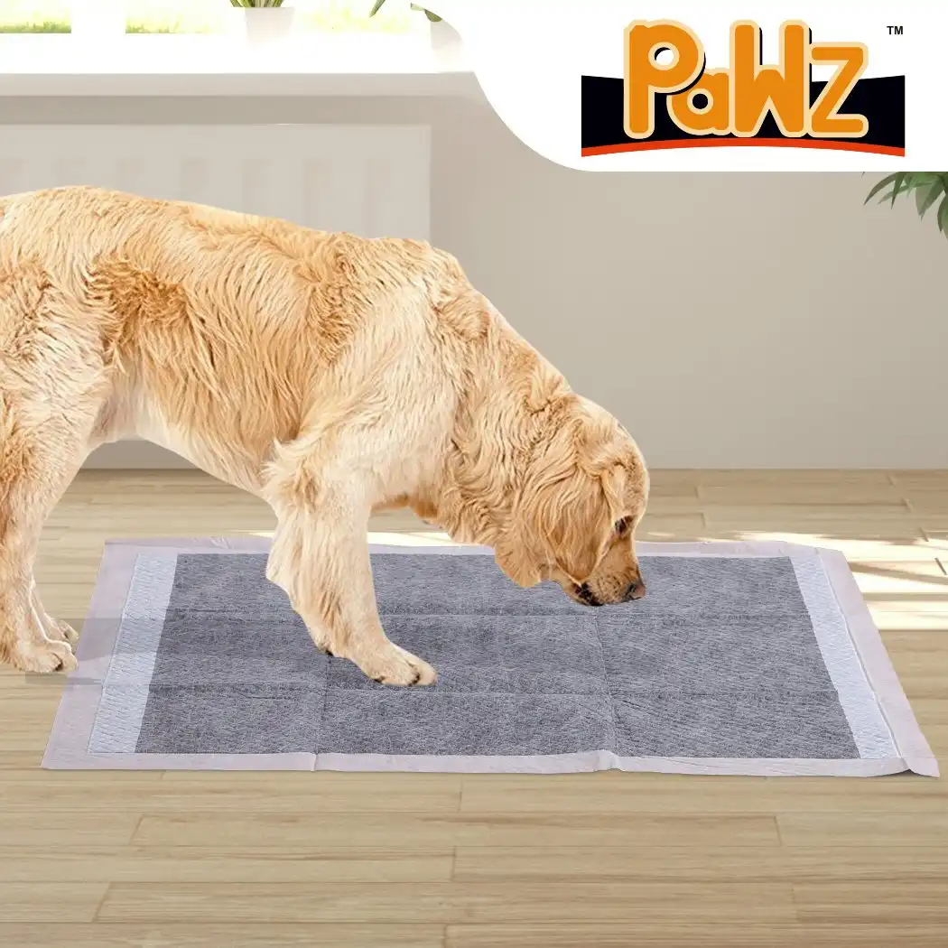 Pawz 50 Pcs 60x60cm Charcoal Pet Puppy Dog Toilet Training Pads Ultra Absorbent