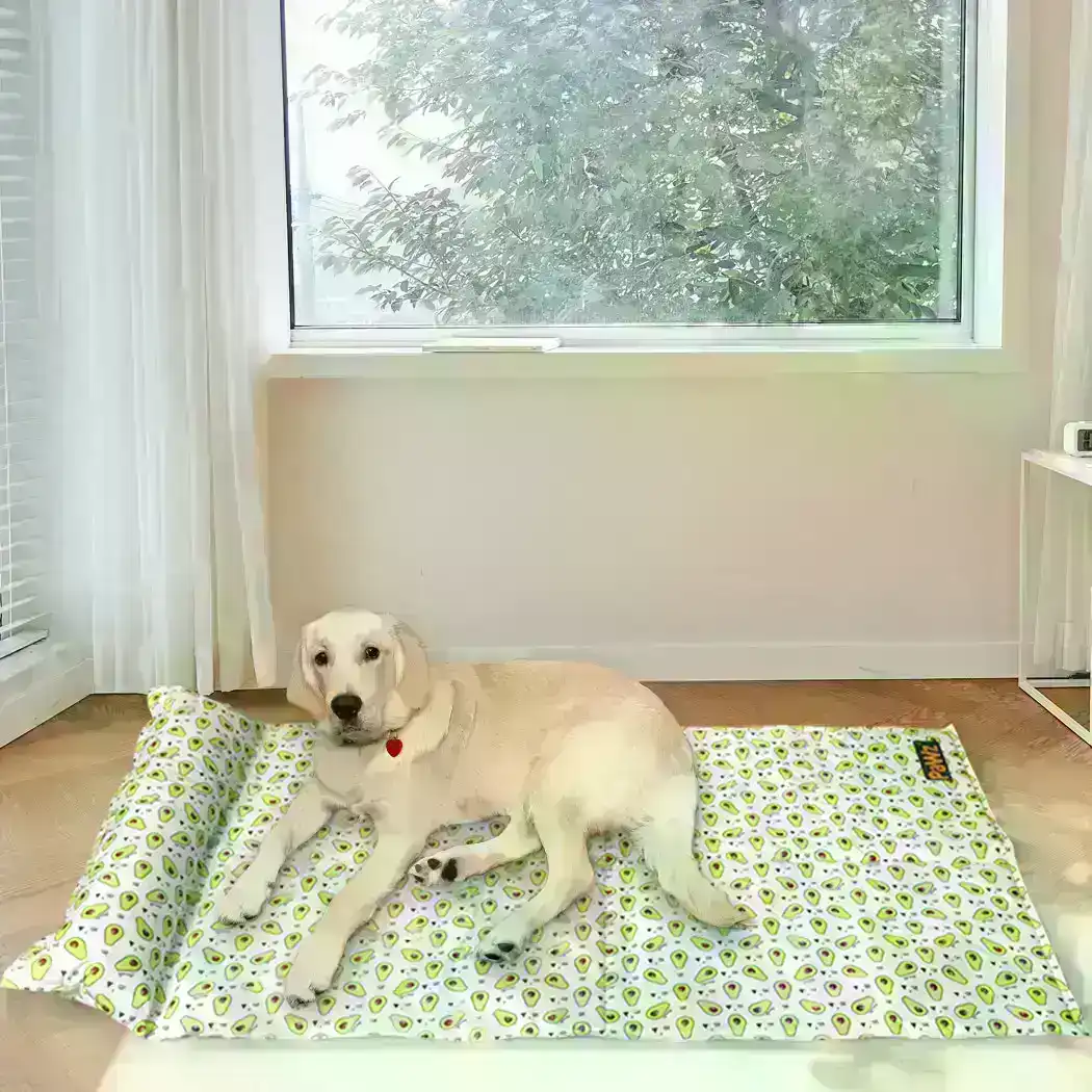 Pawz Pet Cooling Mat Cat Dog Gel Non-Toxic Bed Pillow Sofa Self-cool Summer XL