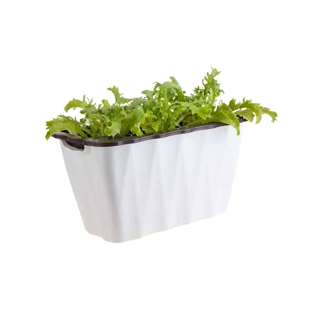 Soga 35cm Small White Rectangular Flowerpot Vegetable Herb Flower Outdoor Plastic Box Garden Decor