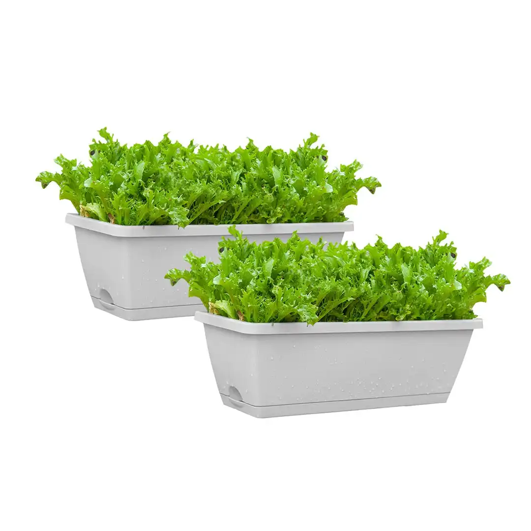 Soga 49.5cm White Rectangular Planter Vegetable Herb Flower Outdoor Plastic Box with Holder Balcony Garden Decor Set of 2