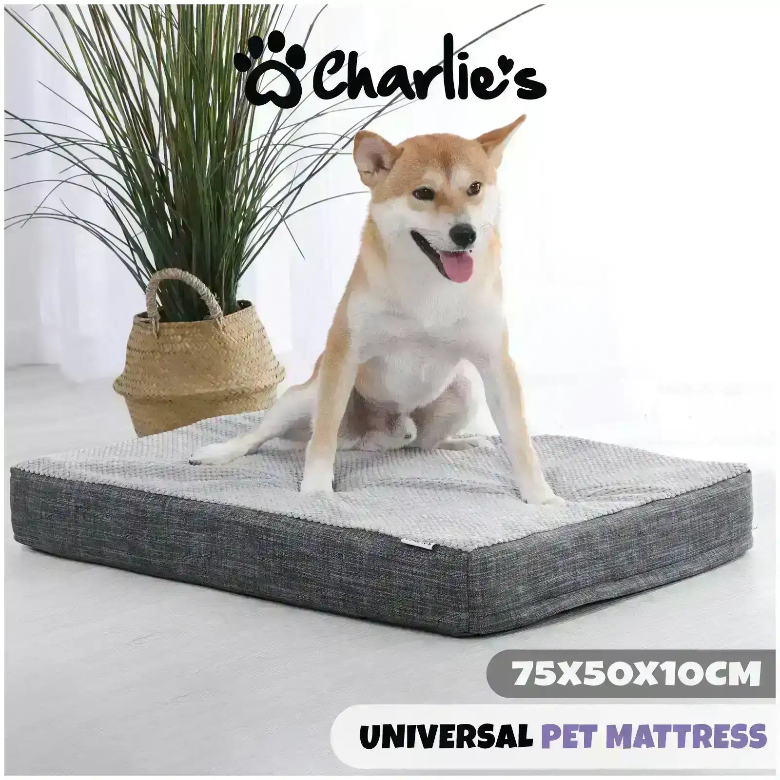 Charlie's Universal Pet Mattress Small
