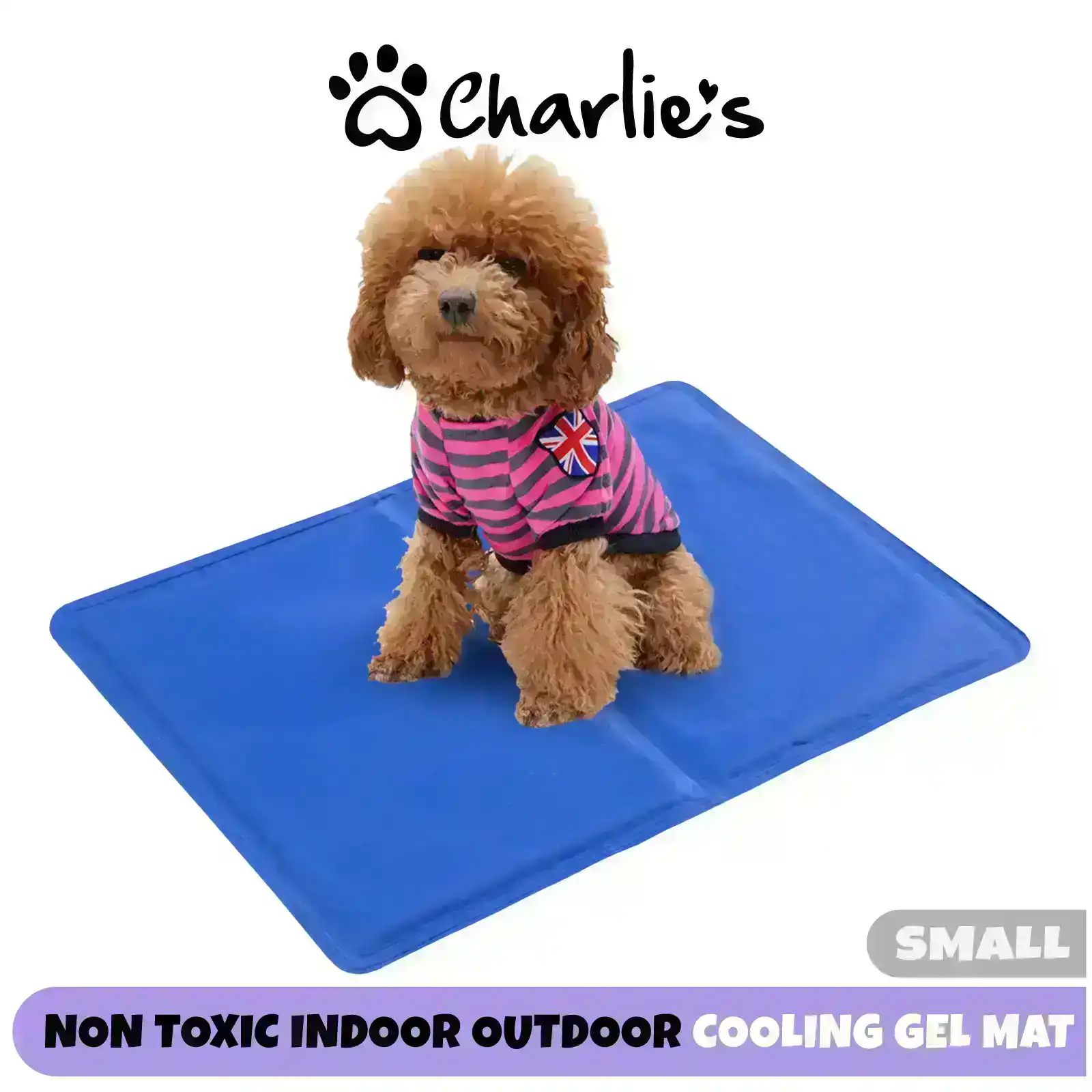 Paw Paws Pet Cooling Mat Blue Small
