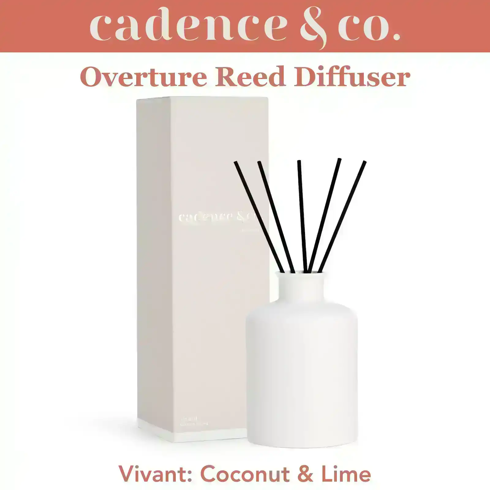Cadence & Co Overture Reed Diffuser Vivant: Coconut & Lime Natural Room Freshener w/ Essential Oils