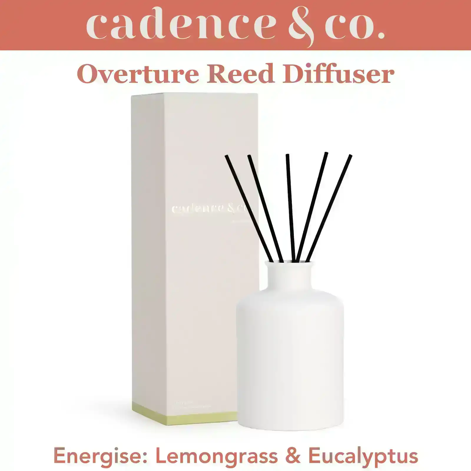Cadence & Co Overture Reed Diffuser Energise: Lemongrass & Eucalyptus Natural Room Freshener w/ Essential Oils