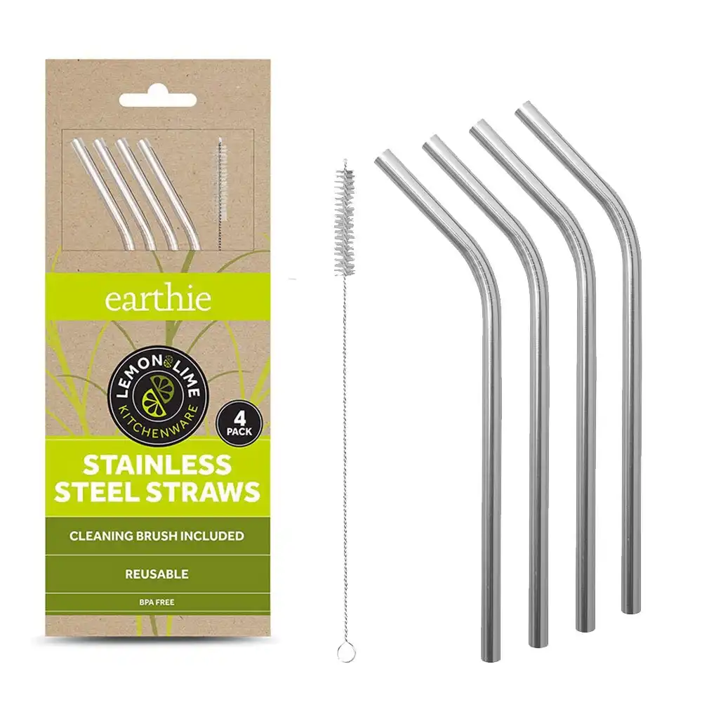 4PK Lemon & Lime Stainless Steel Reusable Drinking Straws w/ Brush Set Silver