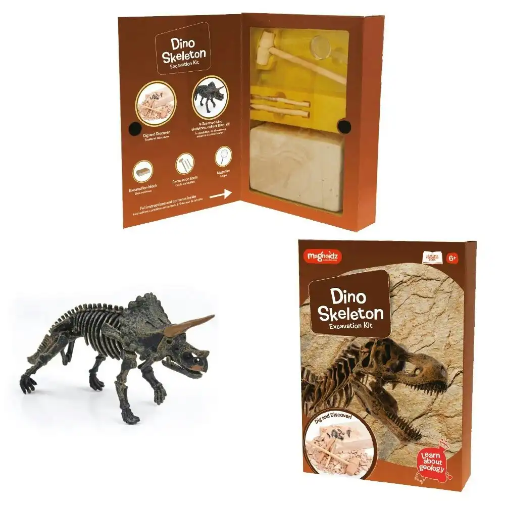 Magnoidz Dino Skeleton Excavation Kit Kids/Children Dinosaur Digging Toy 6y+