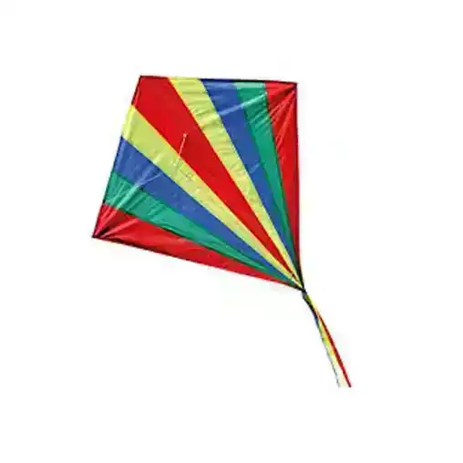 Brookite 79cm Shadow Kite Outdoor/Beach Fun Play Flying Toy 6y+ Kids/Children