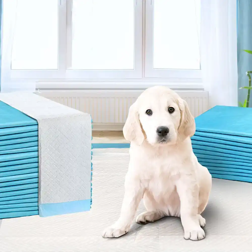 i.Pet 400pcs Puppy Dog Pet Training Pads Cat Toilet 60 x 60cm Super Absorbent Indoor Disposable